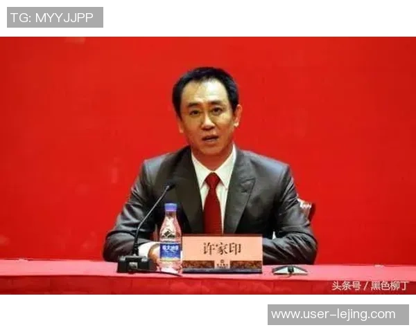 许家印畅谈足球发展愿景与中国足球未来的希望与挑战