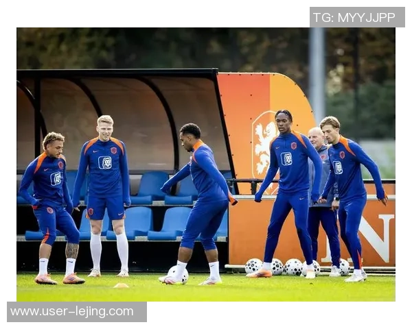 荷兰足球运动员斯什么的职业生涯与成就分析