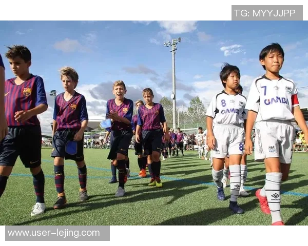 西布罗姆足球队的辉煌历程与未来展望探讨